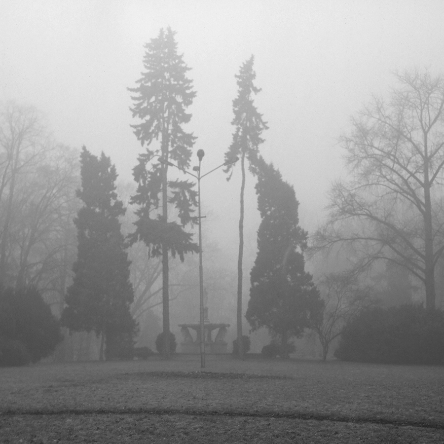 MGŁA