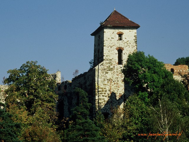 TENCZYNEK W MAŁOPOLCSE