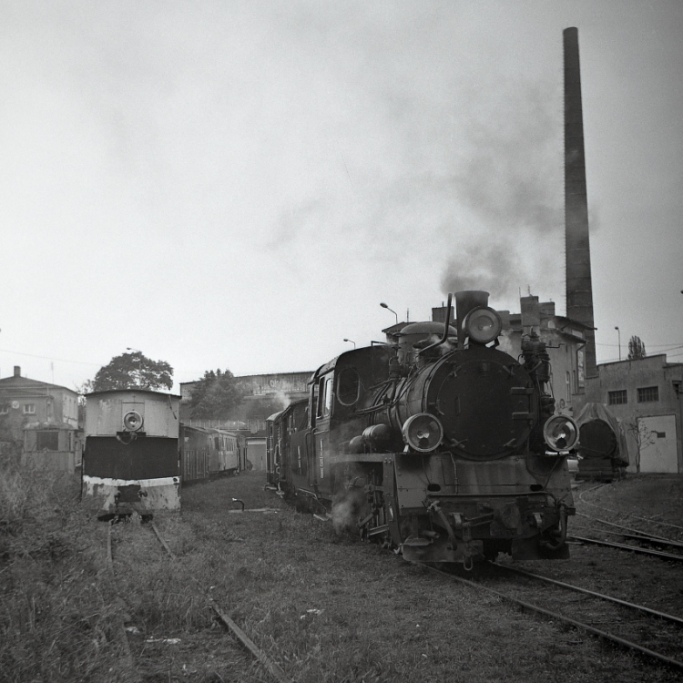 Gniezno Wąsk.