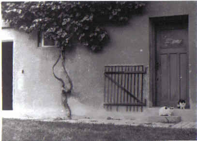 na progu
