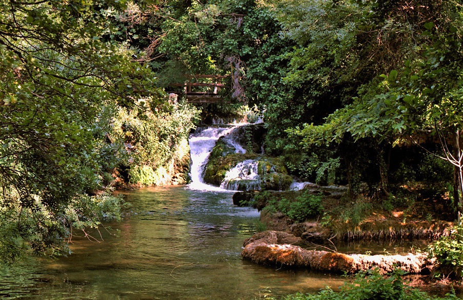 Gąszcz