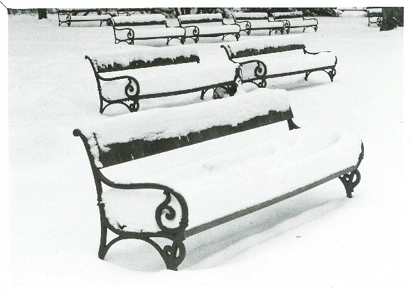 Pustki zimowe