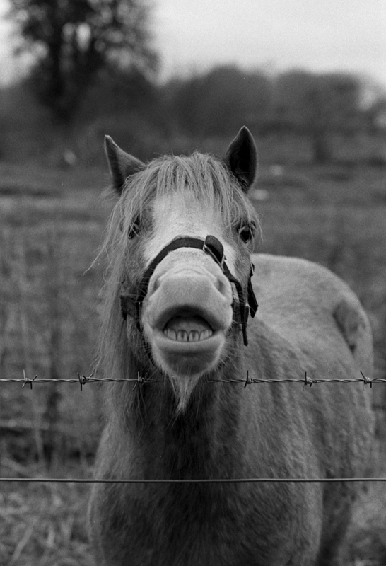 Set me free...please!!!