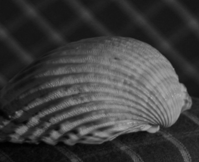 i tez ja o wakacjach