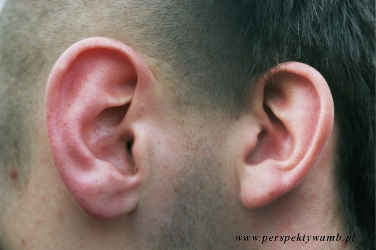 inaczej o słyszeniu