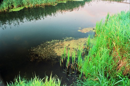 A to obiecane z nad Bienrzy