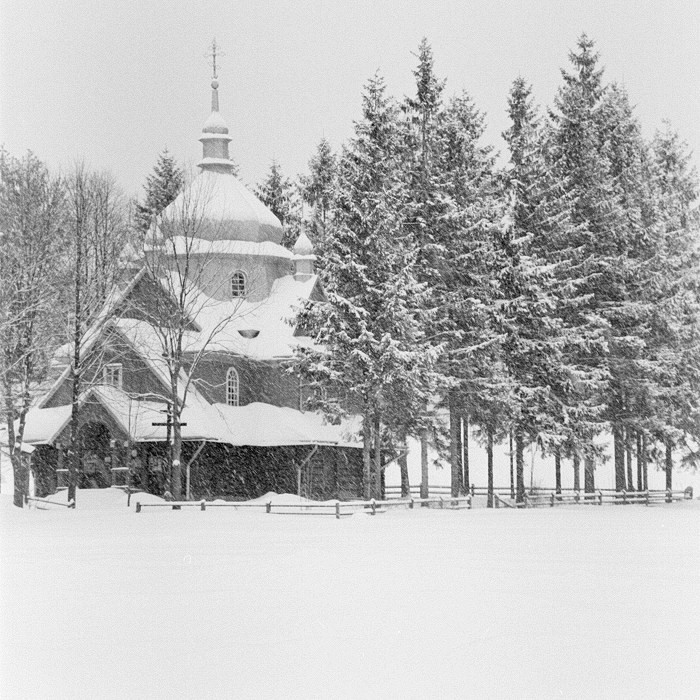 Śnieżyca