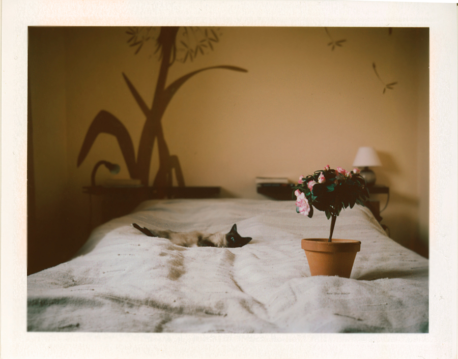 tymczasem sprzatając...