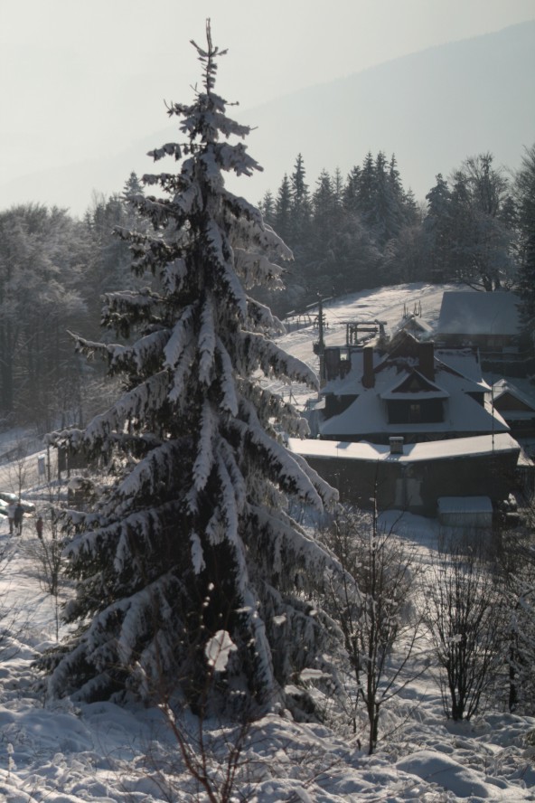 Zimowa przygoda - cd