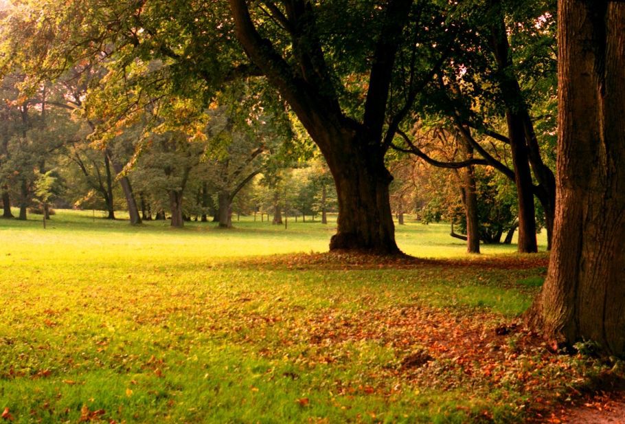 Lubostroń - Park