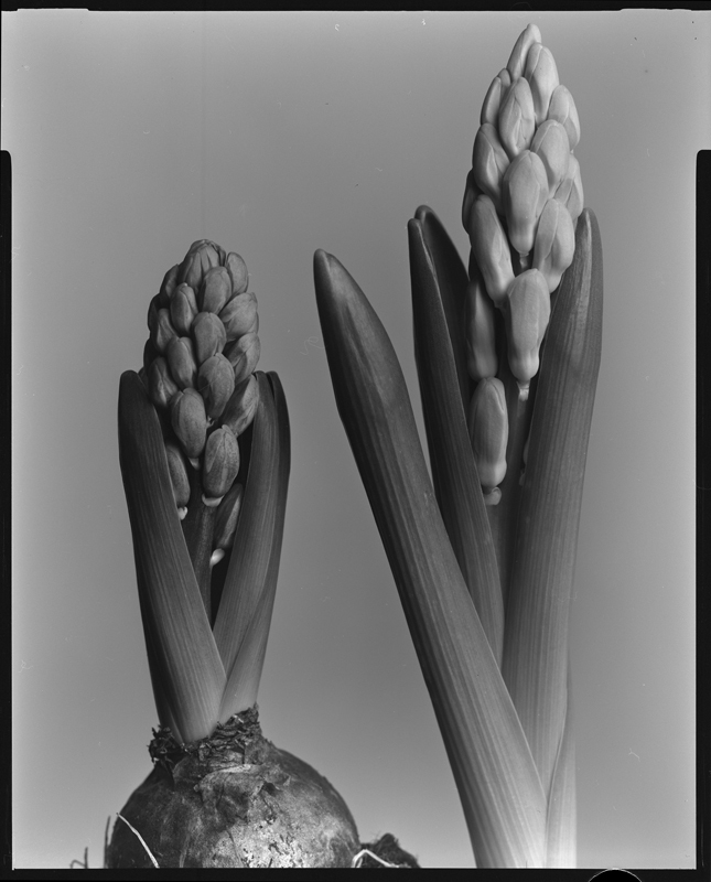 d76 test