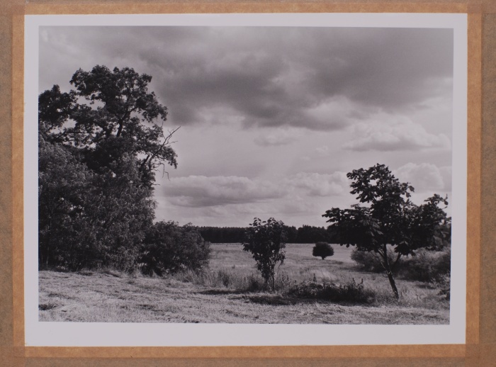 Dąbrówka Kościelna