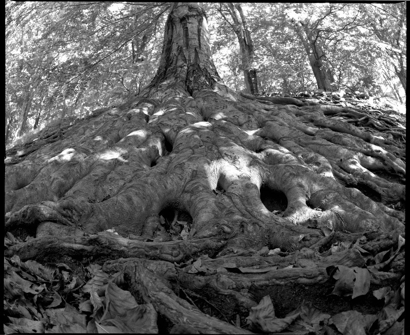 jeszcze jedno wspomnienie z 2010