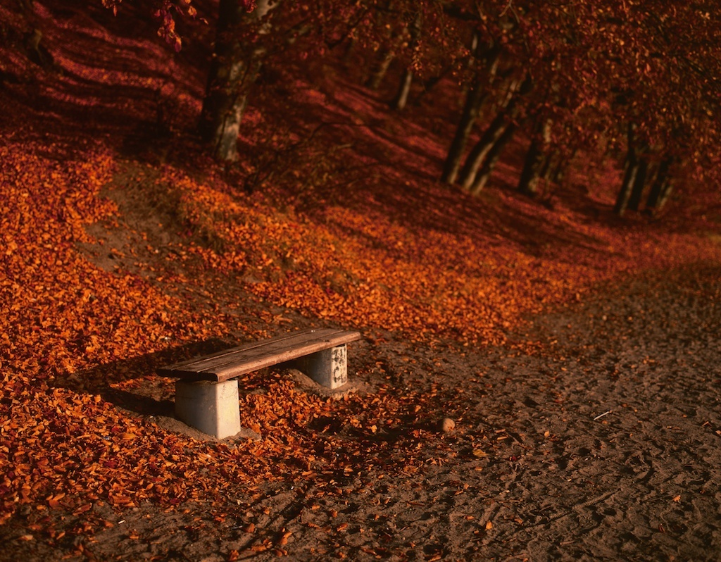 Jesień 2010 - Gdynia Orłowo