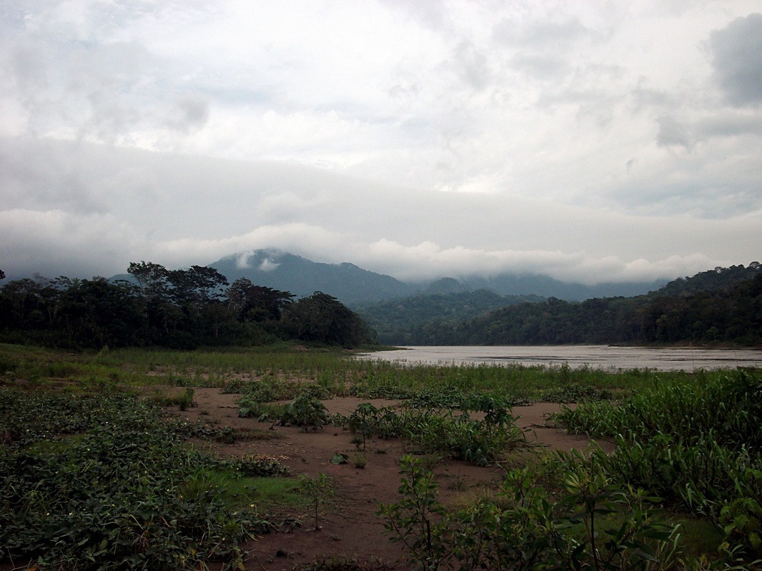 Nad Rio Beni (Boliwia)