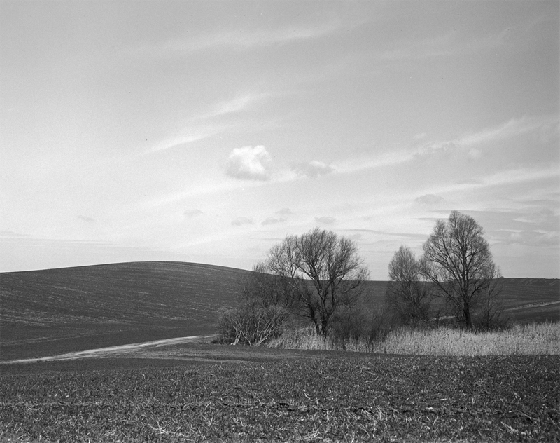 Przedwiośnie