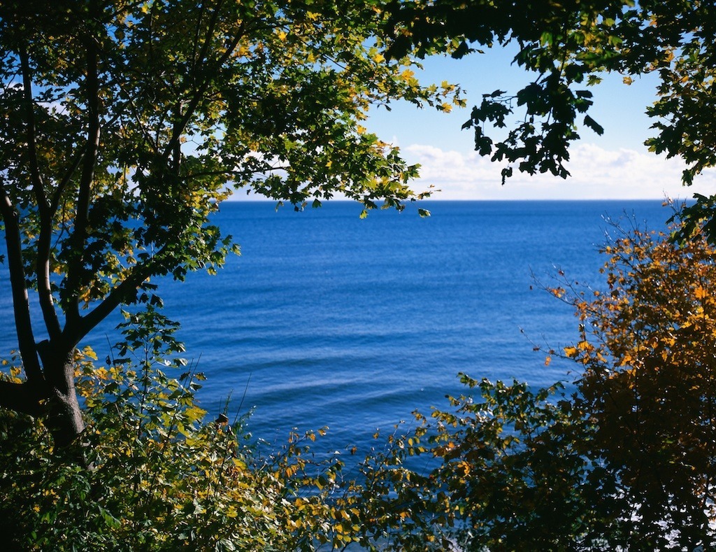 Gdynia Orłowo