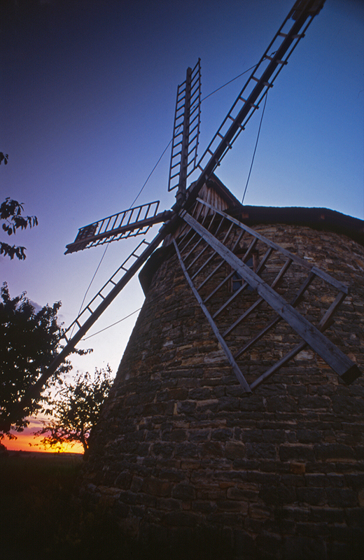 Holender