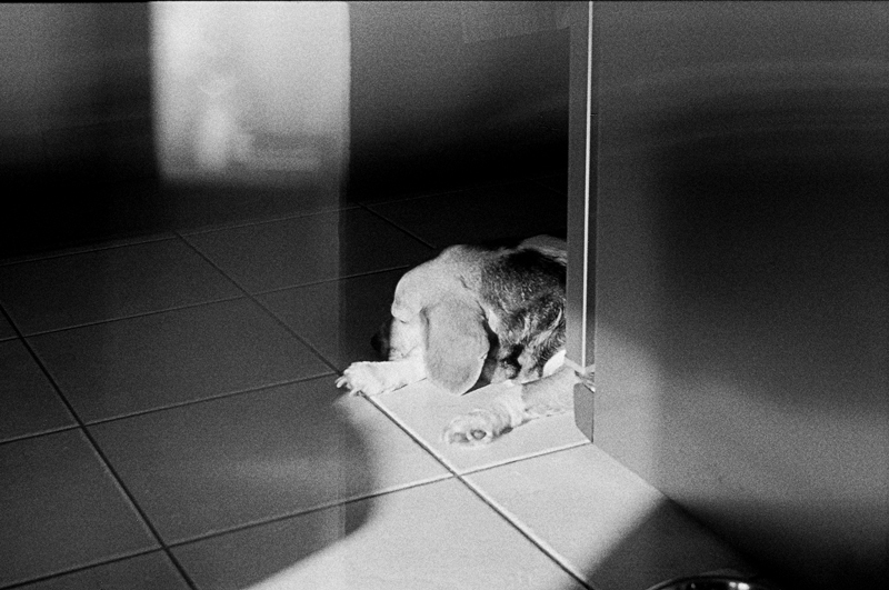 Zenit sę popsuł /jak wszystko/