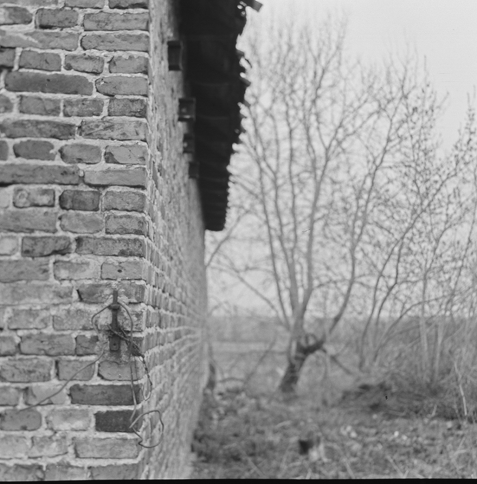 The Wall