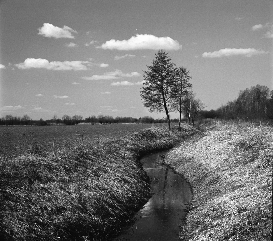 Żymałka