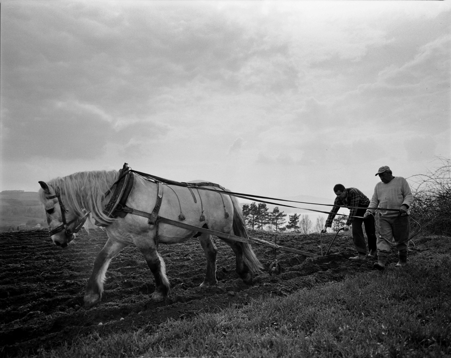 Przygoda z Mamiya RB67 Pro