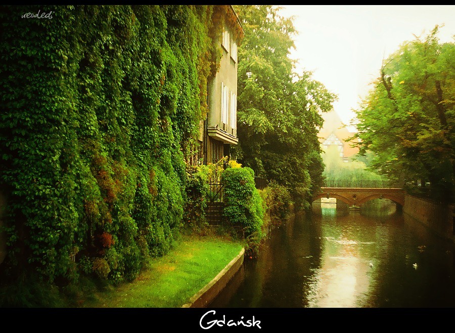 Gdańsk we mgle