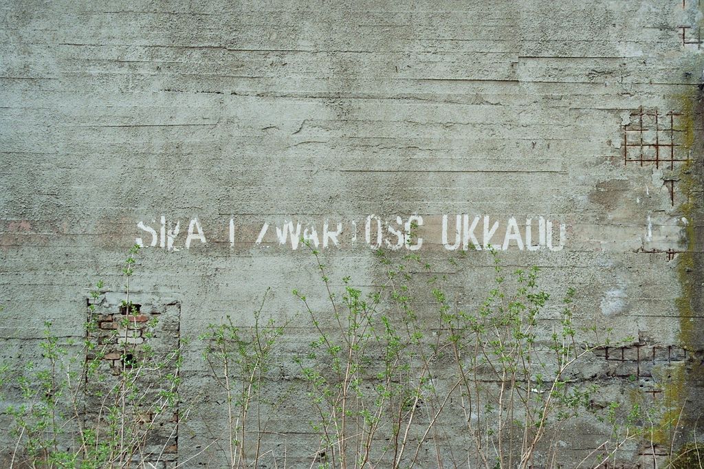 Siła i zwartość układu