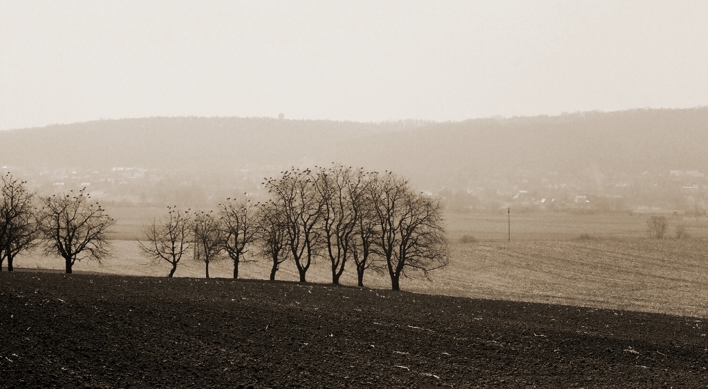Więckowice