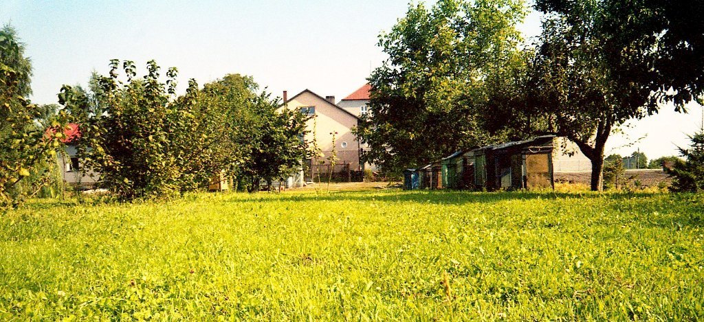 kujawski ogród