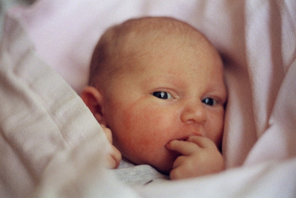Amelia