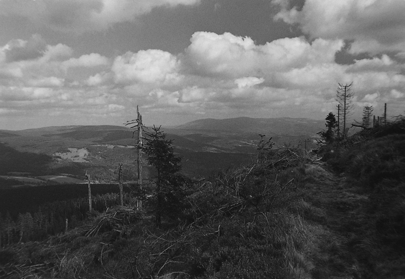 Schodząc ze Śnieżnika #1