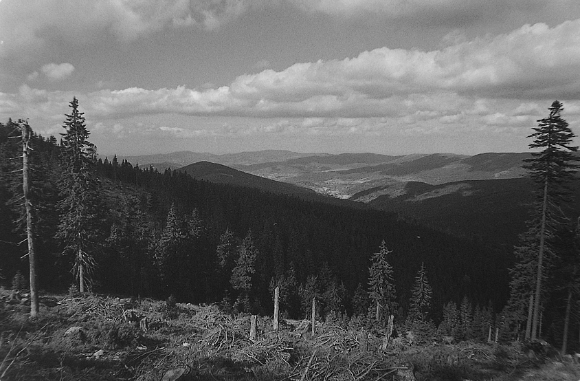 Schodząc ze Śnieżnika #2