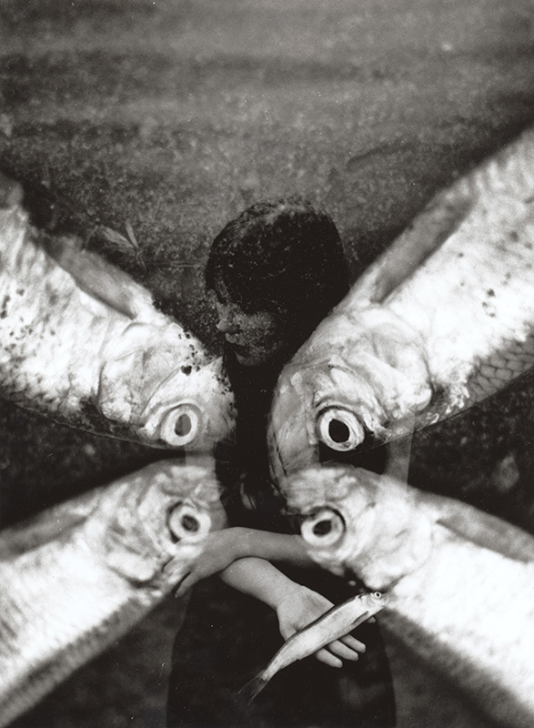 What real mermaids look like2a.