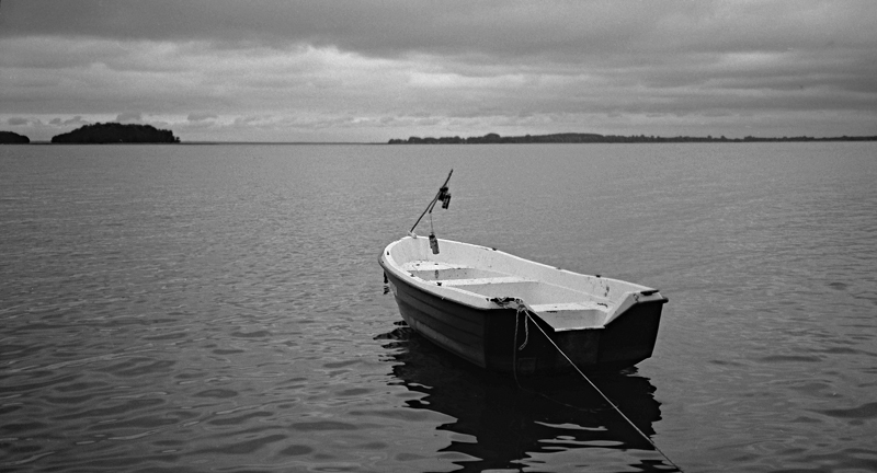 chcąc być jak szanowni koledzy