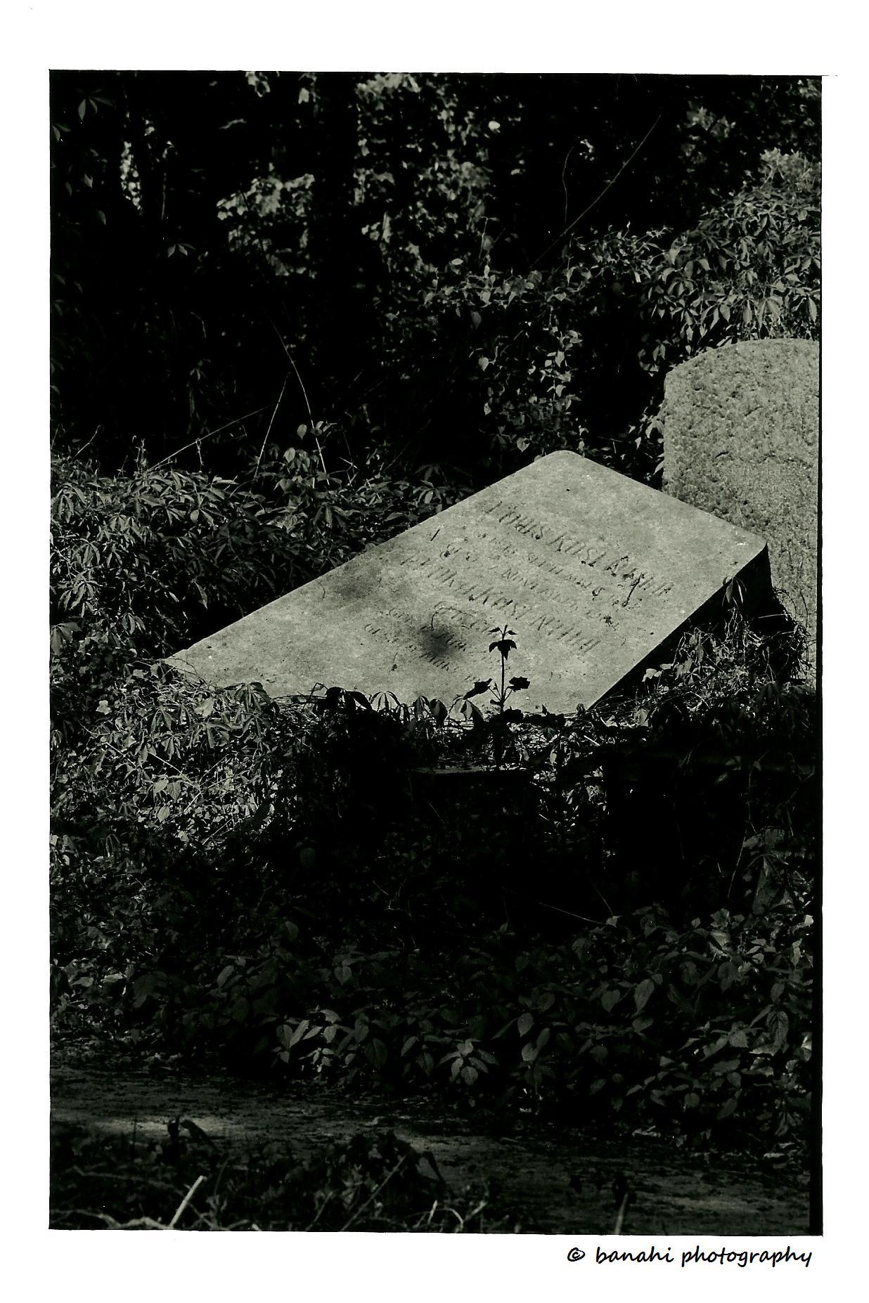 Kirkut, Lotnicza, Wrocław