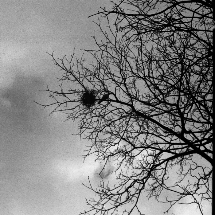 w kwadrat tego połówkowca