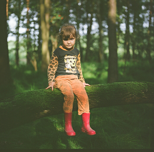 Leśnych wędrówek ciąg dalszy