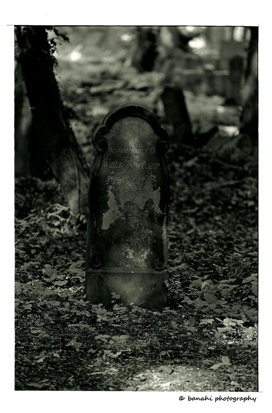 Kirkut Wrocław Lotnicza