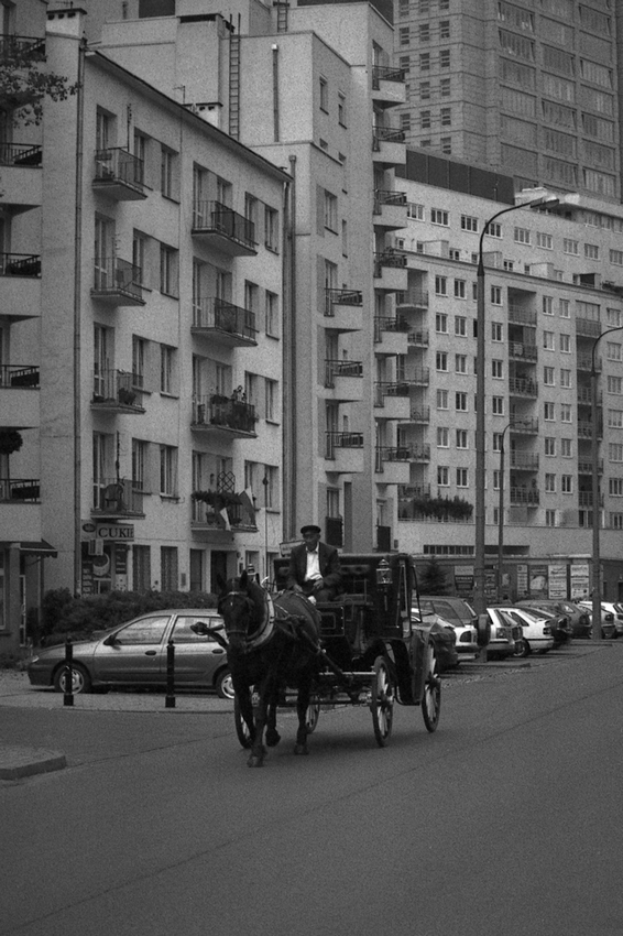 ulica Dzika