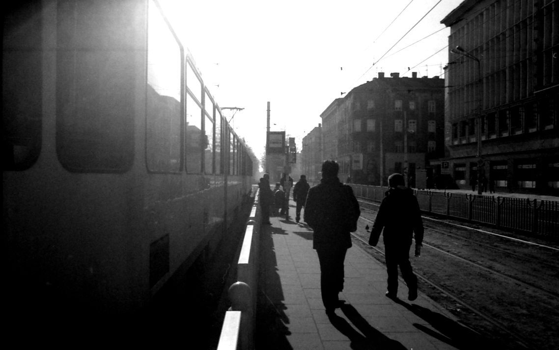 Szaro, buro- Szczecinowo