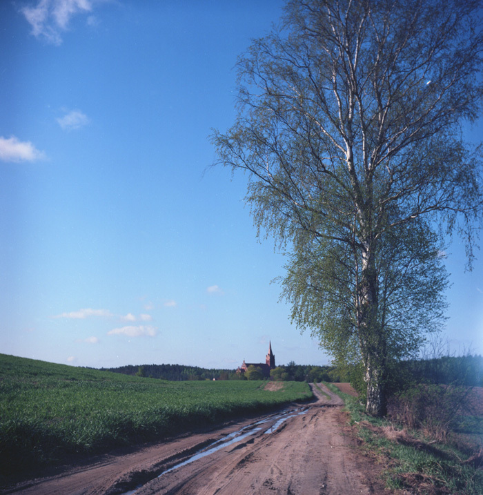w Brąswałdzie
