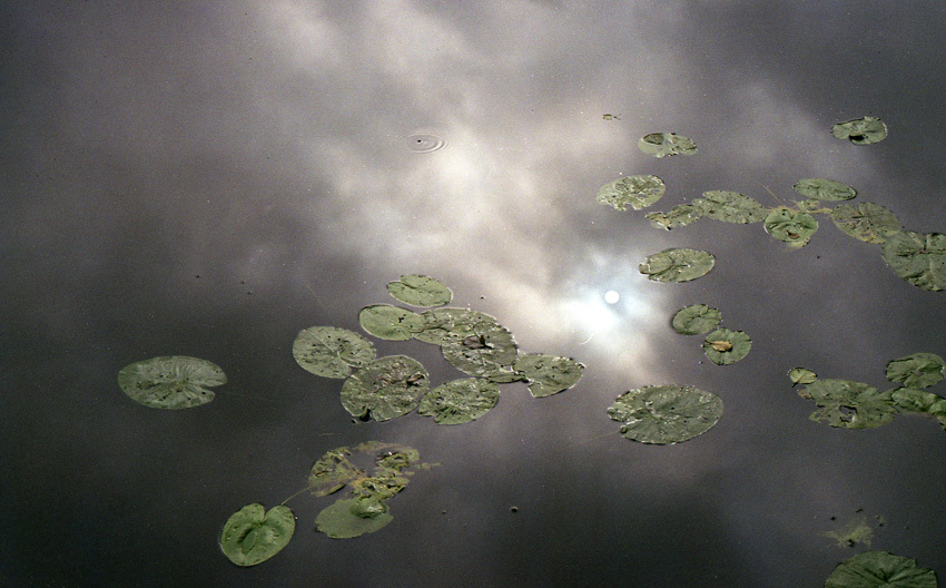 nad wodą