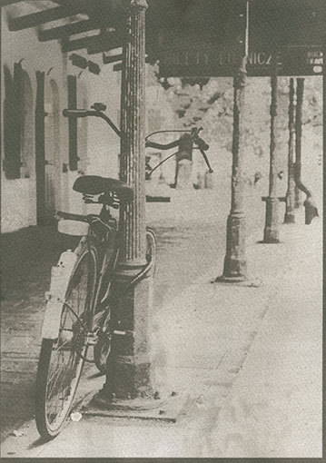 cyjanotypia tonowana