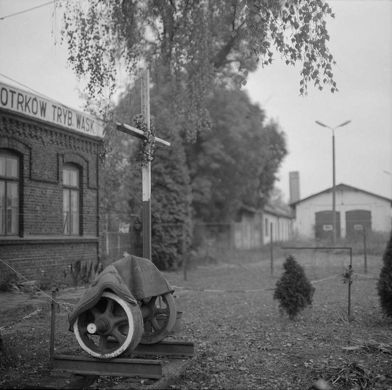 Piotrków Tryb. Wąsk.