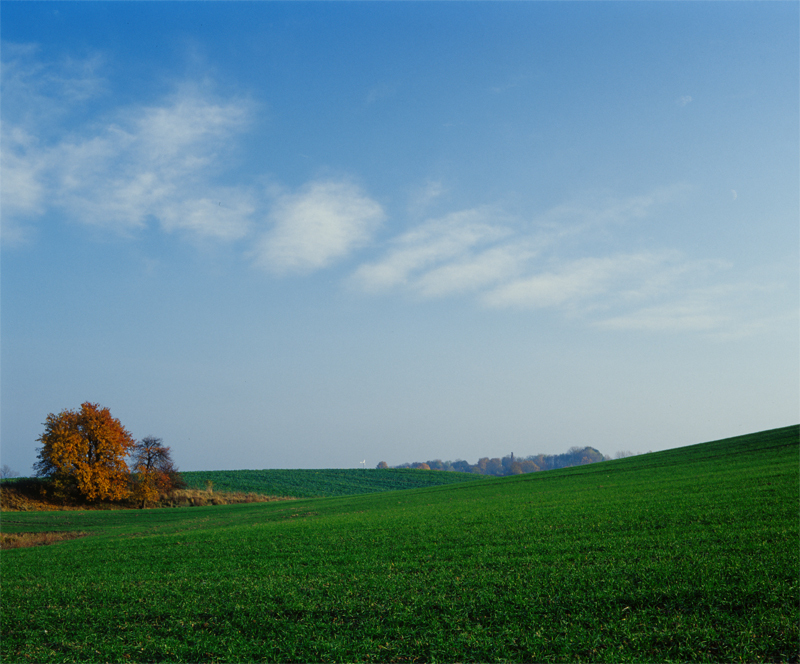 Złoty podróżnik