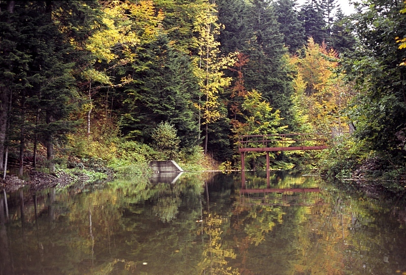 zawoja