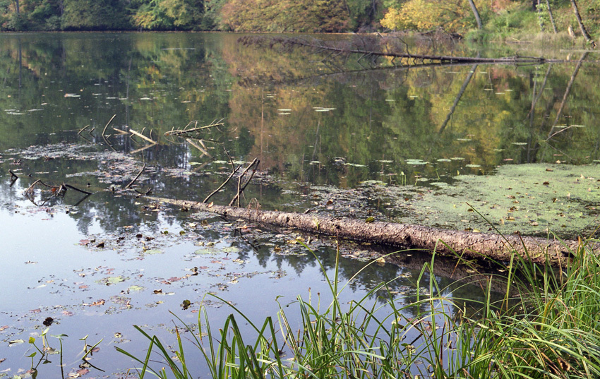 nad rzeką