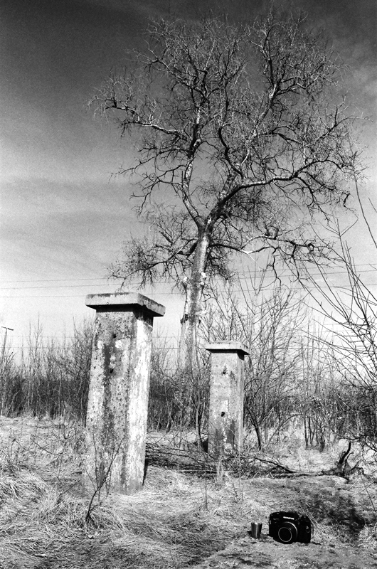 Plener torowy Łęczyca - Ozorków