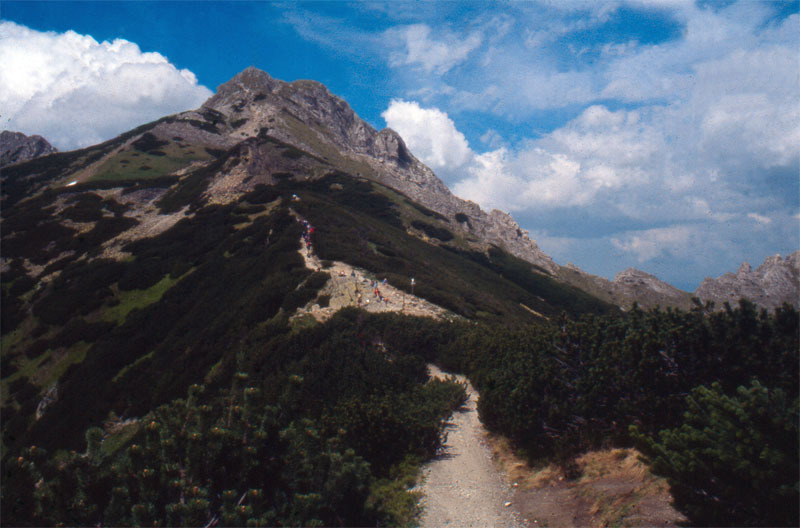 Tatry